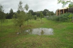 99 Directe omgeving