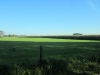 dsc08702